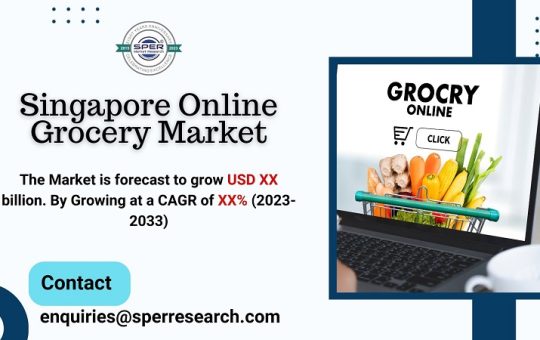 Singapore Online Grocery Market