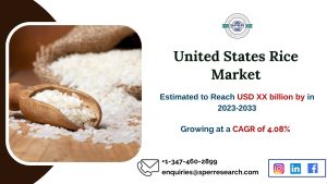 United States Rice Market