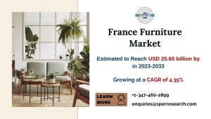 France Furniture Market