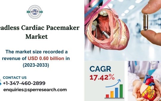 Leadless Cardiac Pacemaker Market