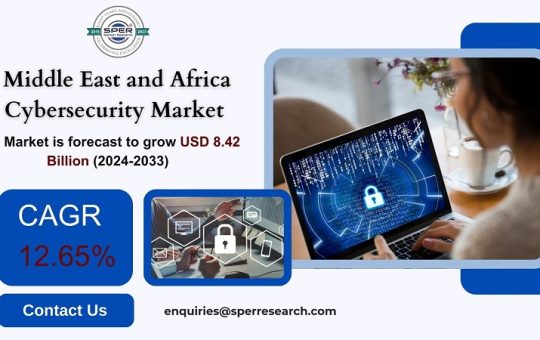 Middle East and Africa Cybersecurity Market