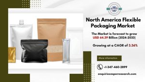 North America Flexible Packaging Market