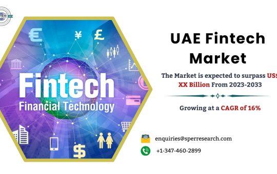 UAE Fintech Market