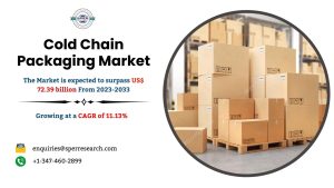 Cold Chain Packaging Market