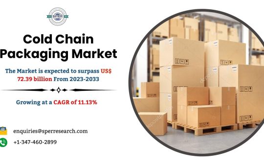 Cold Chain Packaging Market