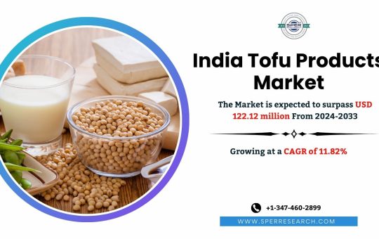 India Tofu Products Market