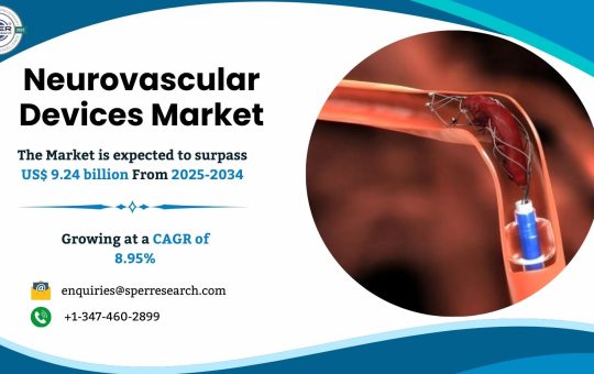 Neurovascular Devices Market