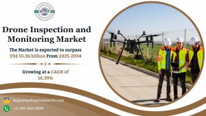 Drone Inspection and Monitoring Market