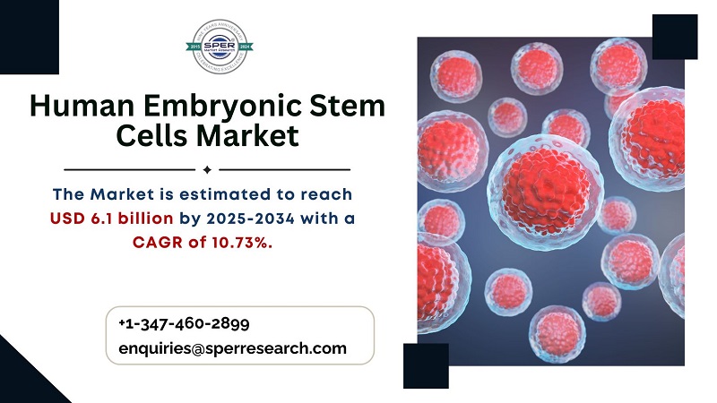 Human Embryonic Stem Cells Market