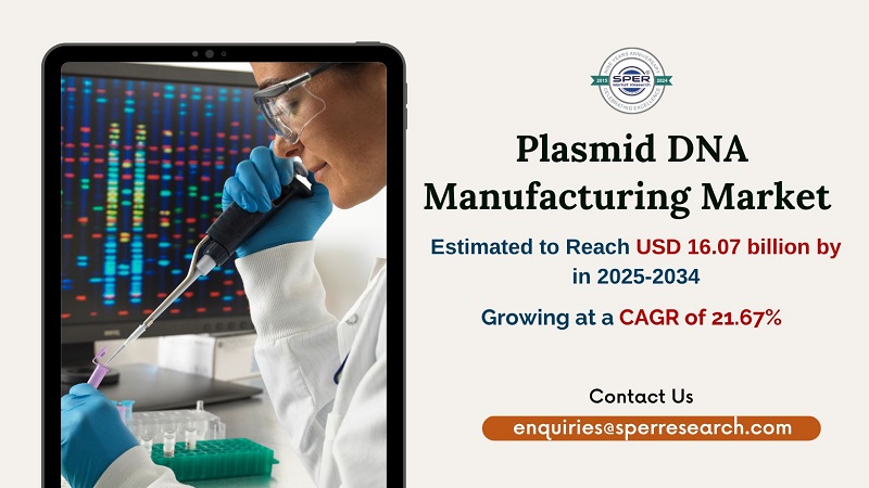 Plasmid DNA Manufacturing Market