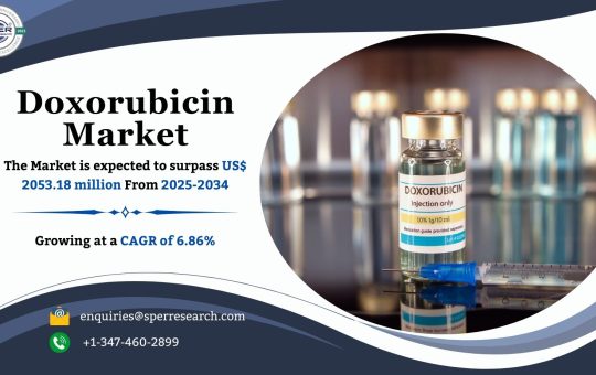 Doxorubicin Market