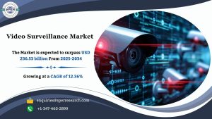 Video Surveillance Market