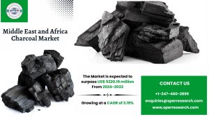 Middle East and Africa Charcoal Market