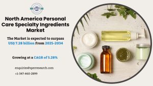 North America Personal Care Specialty Ingredients Market