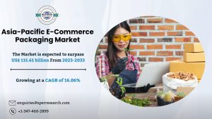 Asia-Pacific E-Commerce Packaging Market Growth
