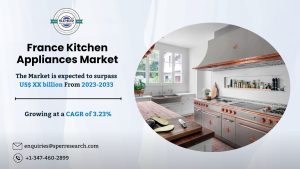 France Kitchen Appliances Market Trends
