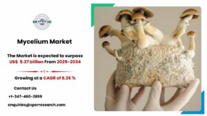 Mycelium Market