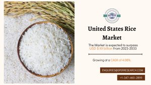 United States Rice Market