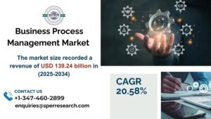 Business Process Management Market