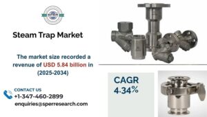 steam trap market