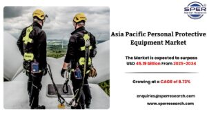 Asia Pacific Personal Protective Equipment Market