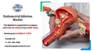 Endometrial Ablation Market