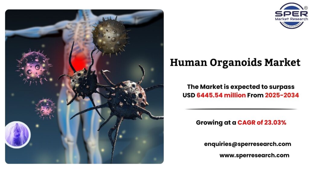 Human Organoids Market