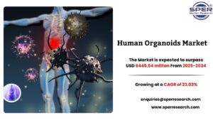Human Organoids Market