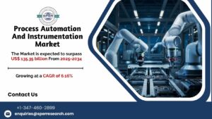 Process Automation And Instrumentation Market
